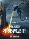 骷髅怪的异世界生存指南